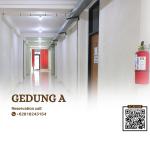 Standar 3 Single Bed - Gedung A